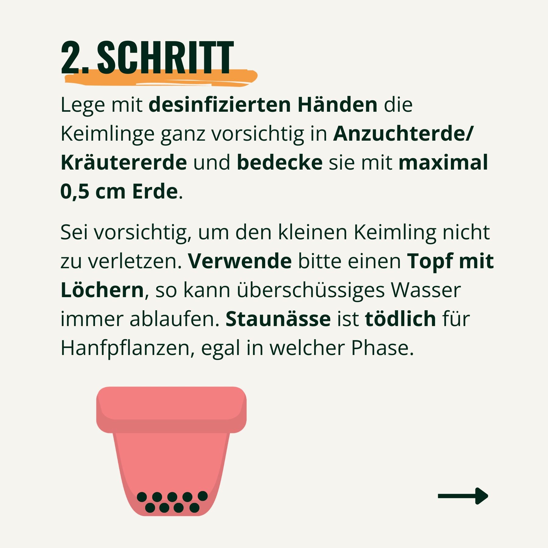 Digital illustration of a pink pot with drainage holes showing a step-by-step guide for planting a seedling.