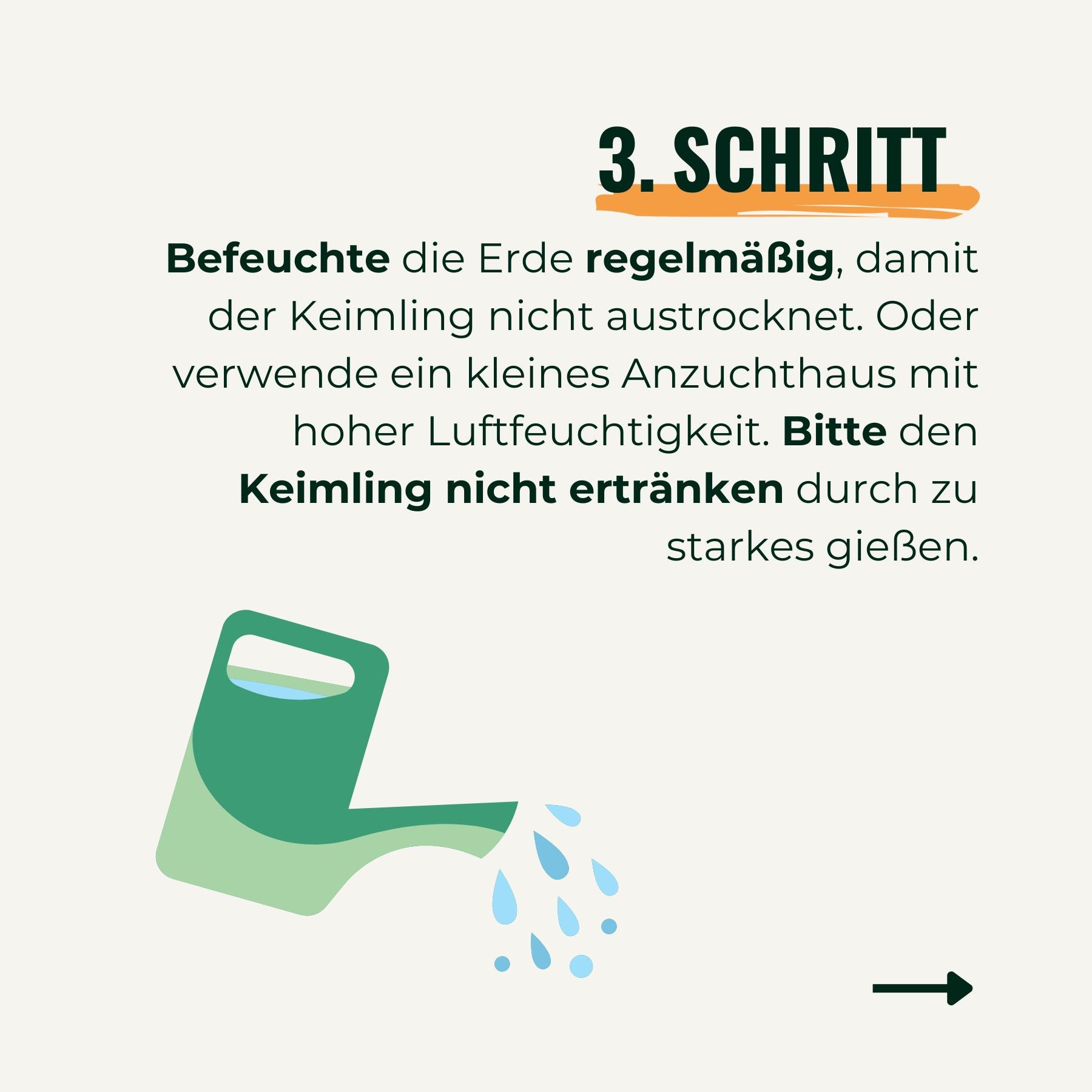 Digital illustration of a green watering can pouring light blue water onto soil, showing a step-by-step instruction for plant care