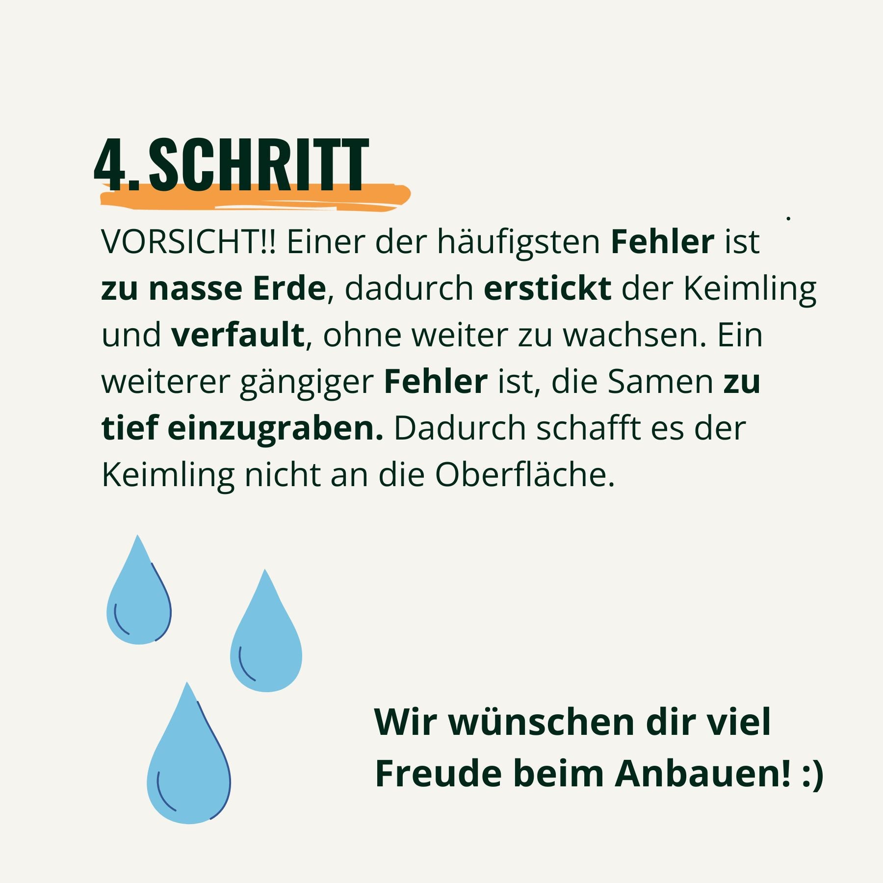 Digital illustration featuring three light blue water droplets symbolizing proper watering techniques for seedlings, illustrating the importance of not overwatering.