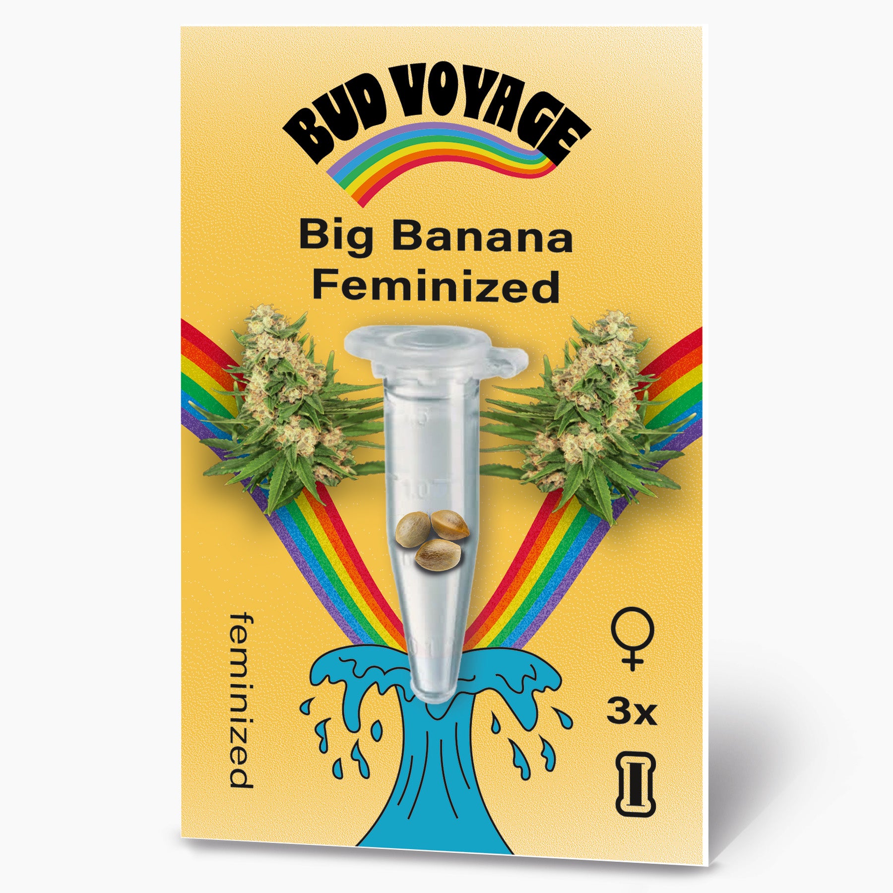 Bud Voyage Grafikdesign: Big Banana feminisierte Hanfsamen in einer Testtube vor einem Regenbogen und maritimen Wellen mit drei Samen und blühenden Cannabispflanzen