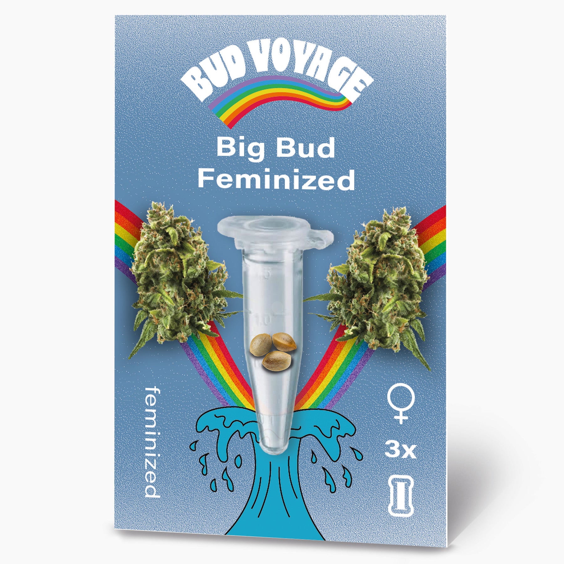 Bud Voyage Grafikdesign: Big Bud feminisierte Hanfsamen in einer Reagenzglas vor Regenbogen und türkisfarbener Welle mit drei Samen drei weiblichen Pflanzen und einem stilisierten  Paket dargestellt