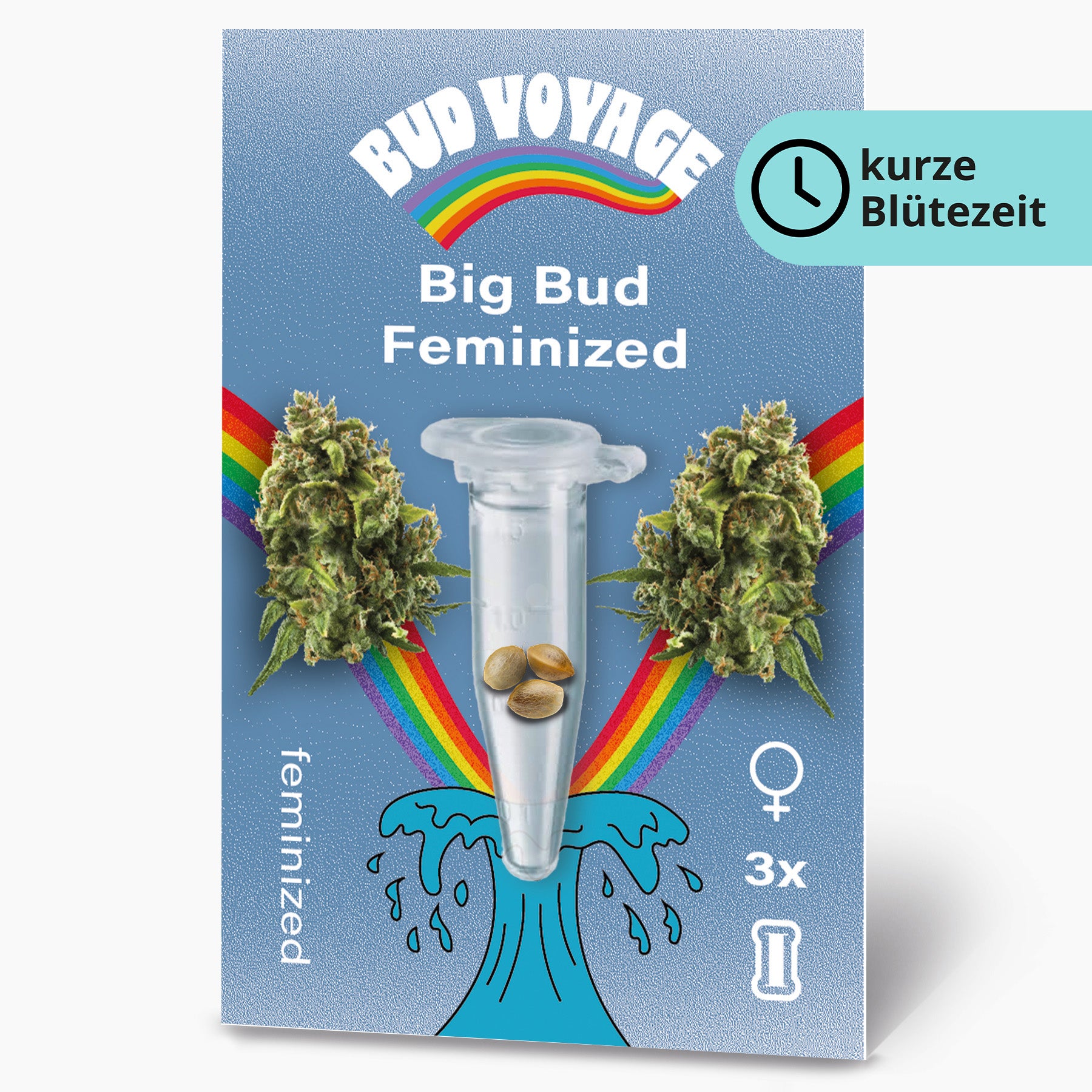 Bud Voyage Grafikdesign: Big Bud feminisierte Hanfsamen in einer Testtube, umgeben von Regenbogen und Wellen, zeigen drei Samen und zwei Cannabis Blüten