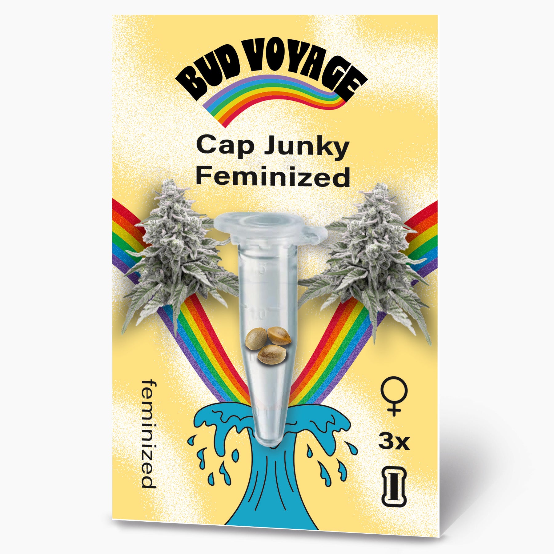 Bud Voyage Grafikdesign: Cap Junky feminisierte Hanfsamen in einer Plastikröhre vor Regenbogen und maritimen Motiven drei Samen mit pastelligen Farben