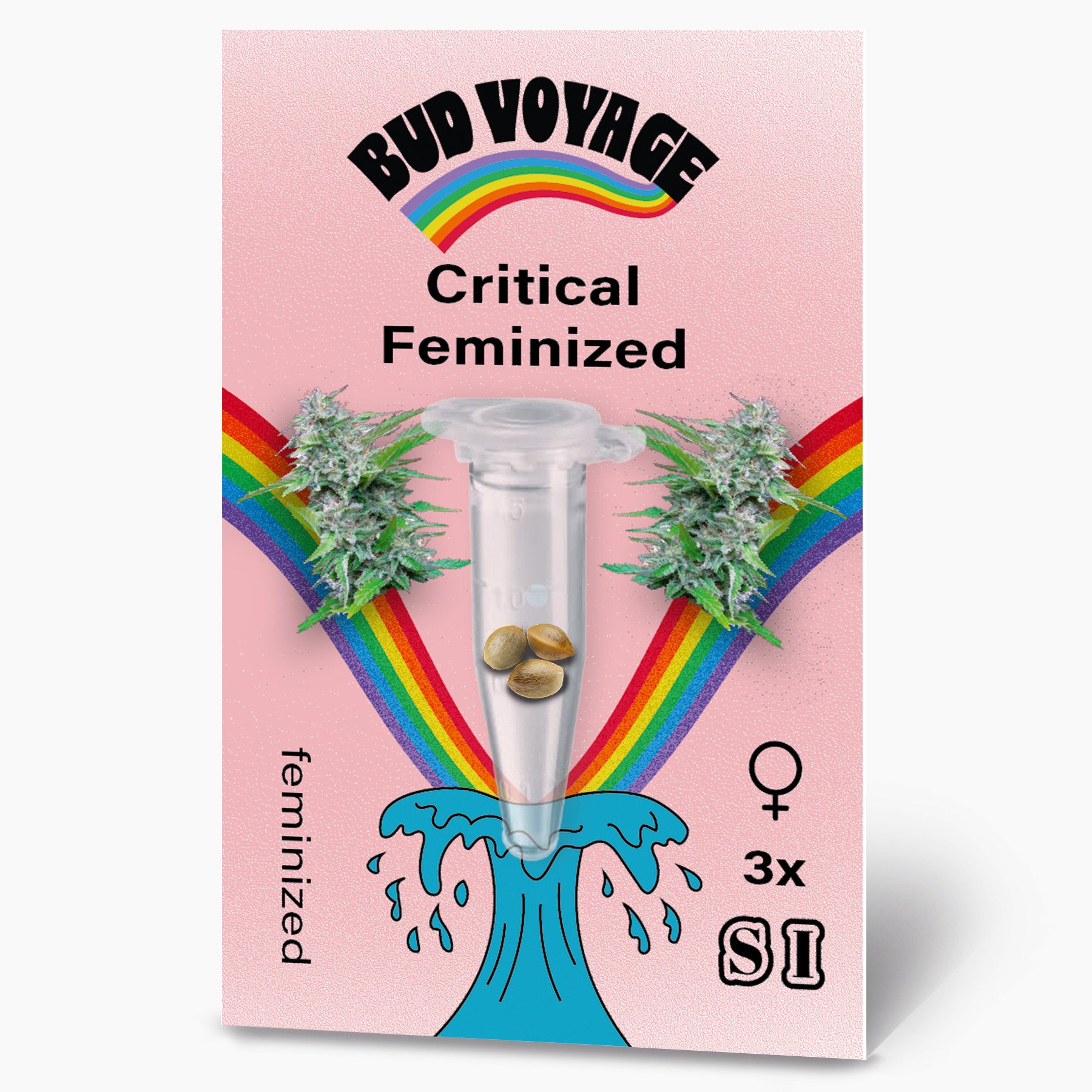 Bud Voyage graphic design featuring Critical Feminized cannabis seeds in a test tube surrounded by rainbows and a stylized wave three seeds are visible light pink background