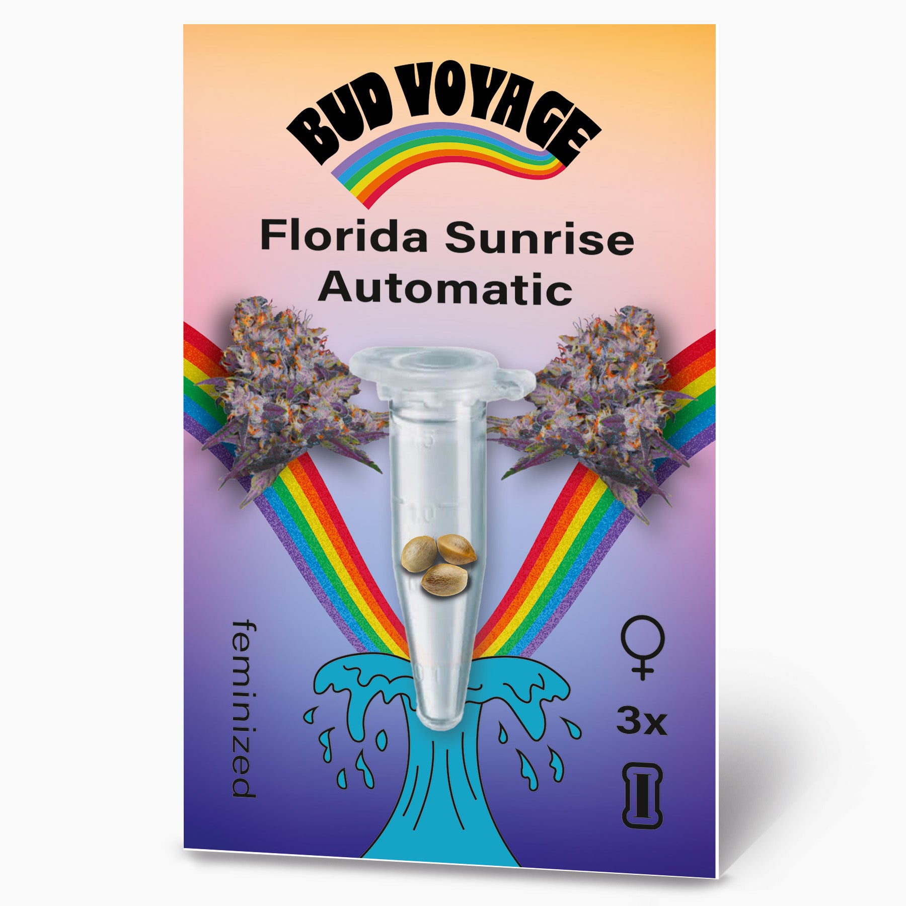 Bud Voyage graphic design, Florida Sunrise Automatic cannabis seeds shown in a test tube, framed by vibrant rainbow arcs and purple buds against a pastel background