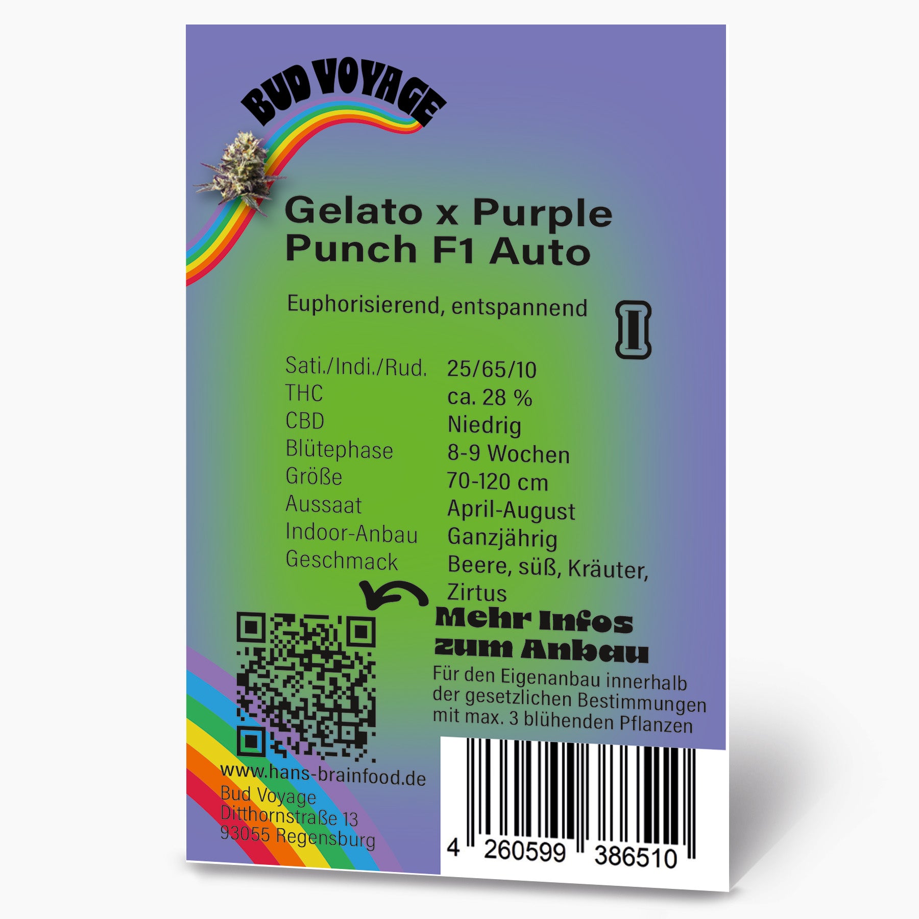 Bud Voyage Produktgrafik zeigt Gelato x Purple Punch F1 Auto Hanfpflanze mit Regenbogen und QR-Code auf Lila-Grün Hintergrund  fruchtige Beerennuancen und süße Kräuteraromen