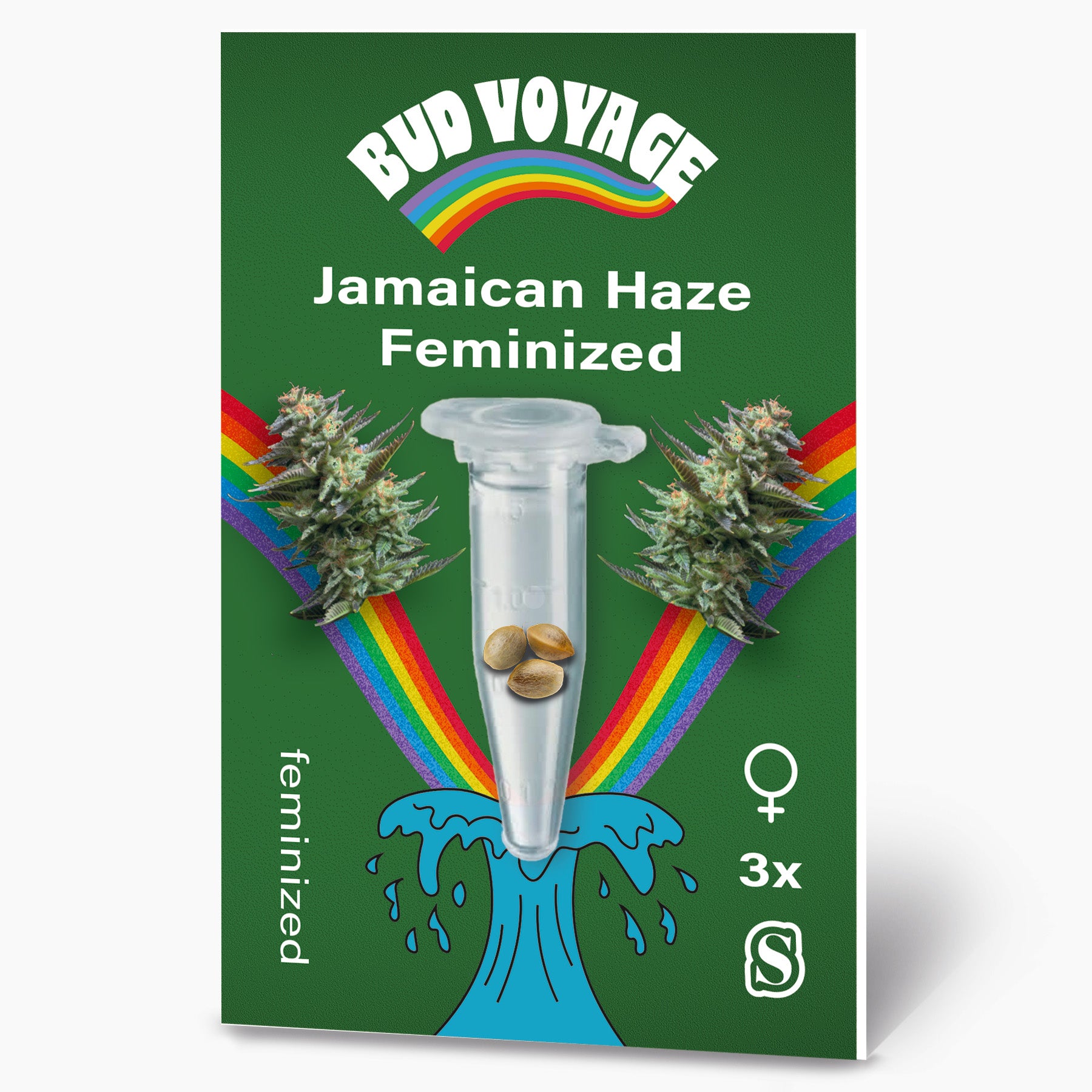 Bud Voyage Grafik: Jamaikanische Haze feminisierte Samen in einer Reagenzglas mit Regenbogen und maritimen Motiven drei Samen drei weibliche Pflanzen grüne Hintergrundfarbe
