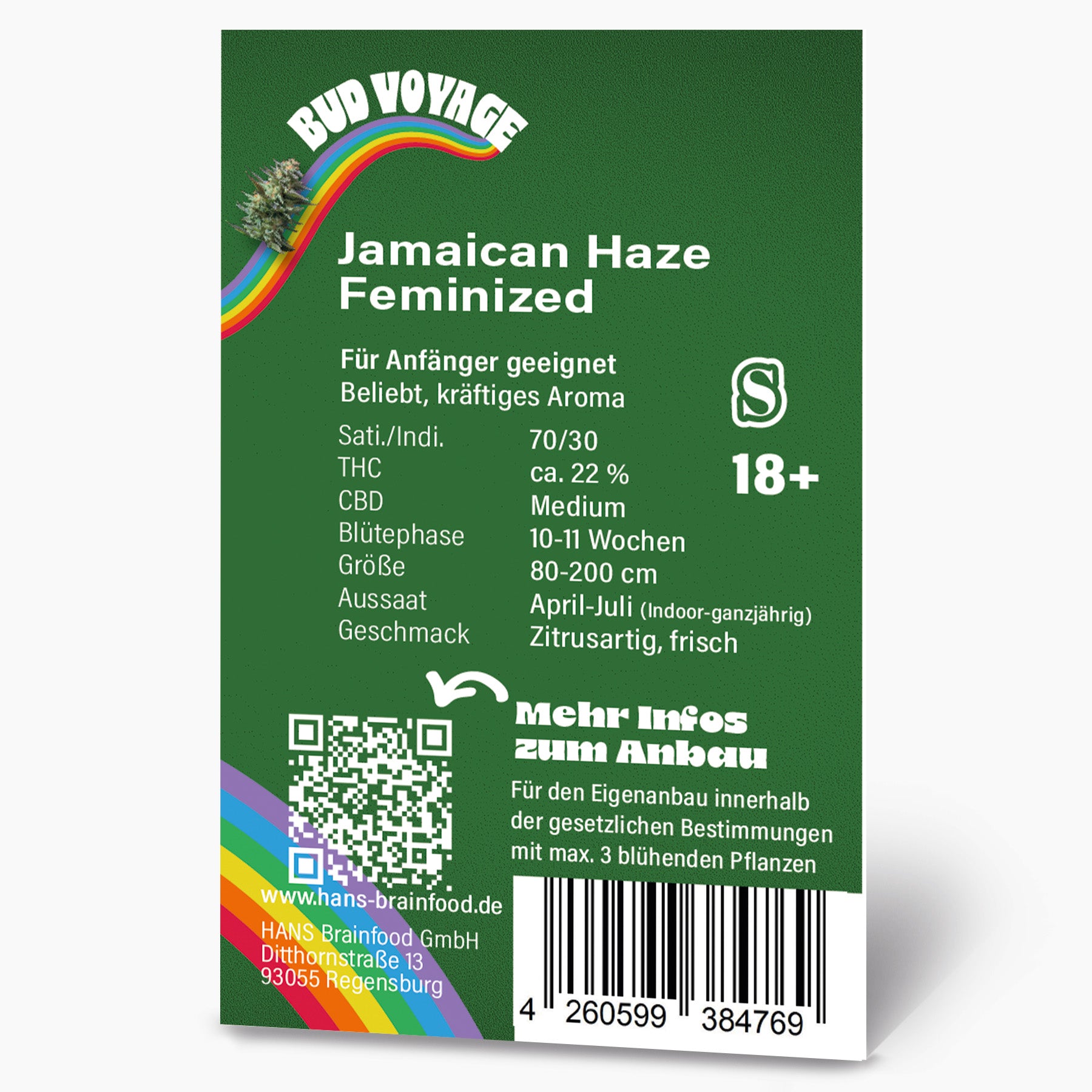 Grafikdesign von Bud Voyage zeigt Jamaican Haze feminisierte Hanfsamen mit einem Regenbogen, QR-Code und Barcode auf grünem Hintergrund.