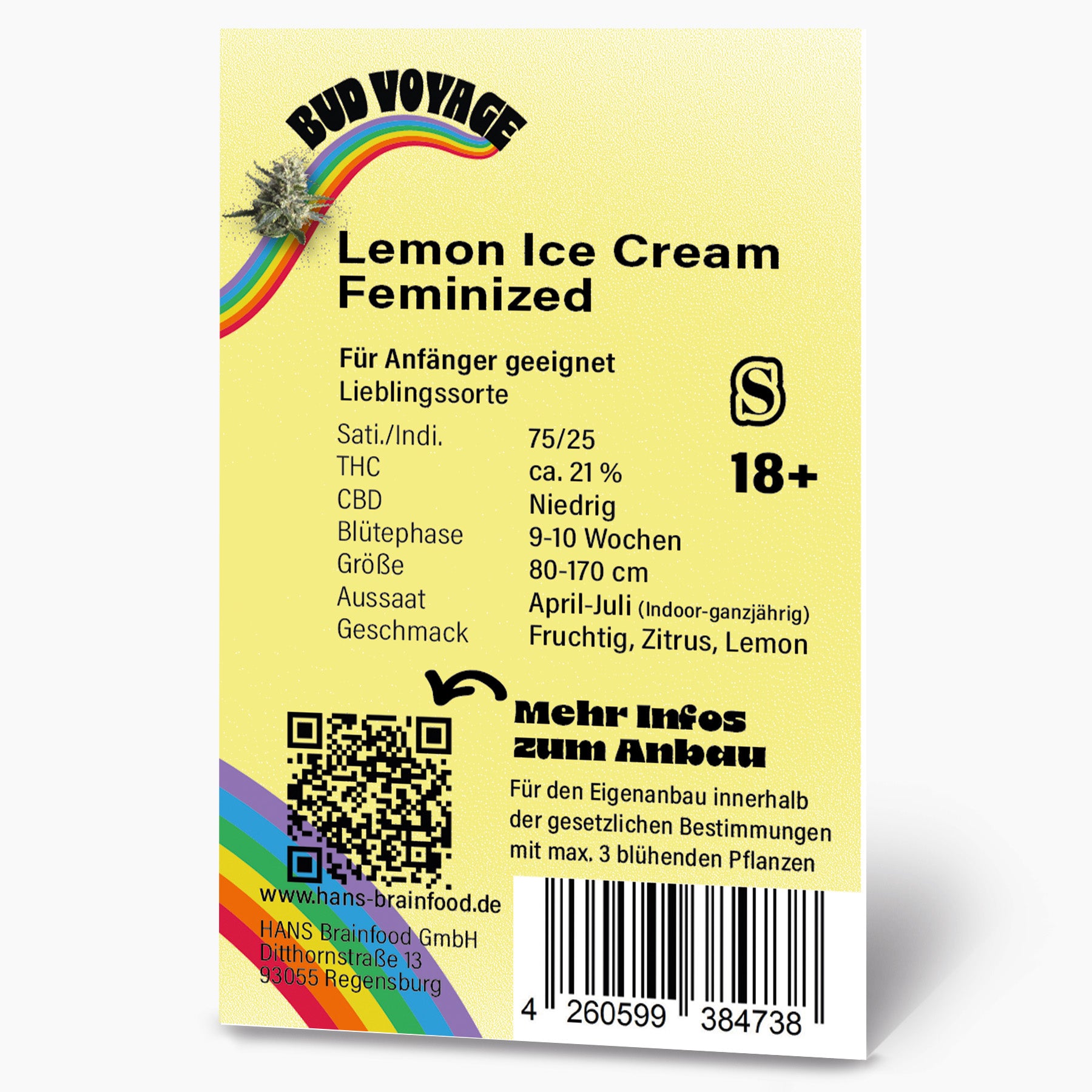 Grafikdesign von Bud Voyage: Lemon Ice Cream feminisierte Cannabis-Samen, zeigt einen Regenbogen, ein Marihuana-Blütenstand und einen QR-Code mit fruchtigen, zitrischen und Zitronen-Noten