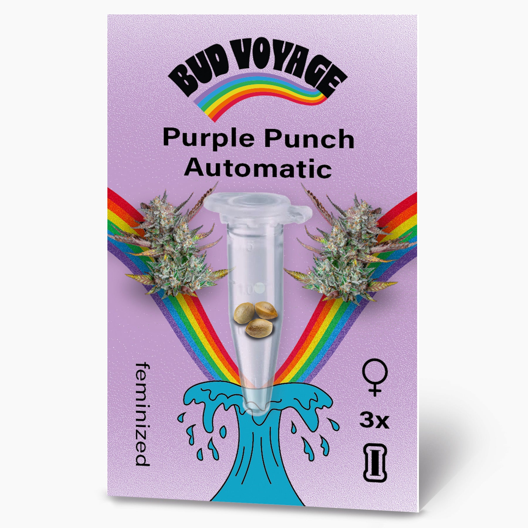 Bud Voyage: Digital illustration zeigt Purple Punch Automatic Hanfsamen in einer Testtube über einem Regenbogen und einer blauen Welle mit drei feminisierten Samen auf lila Hintergrund
