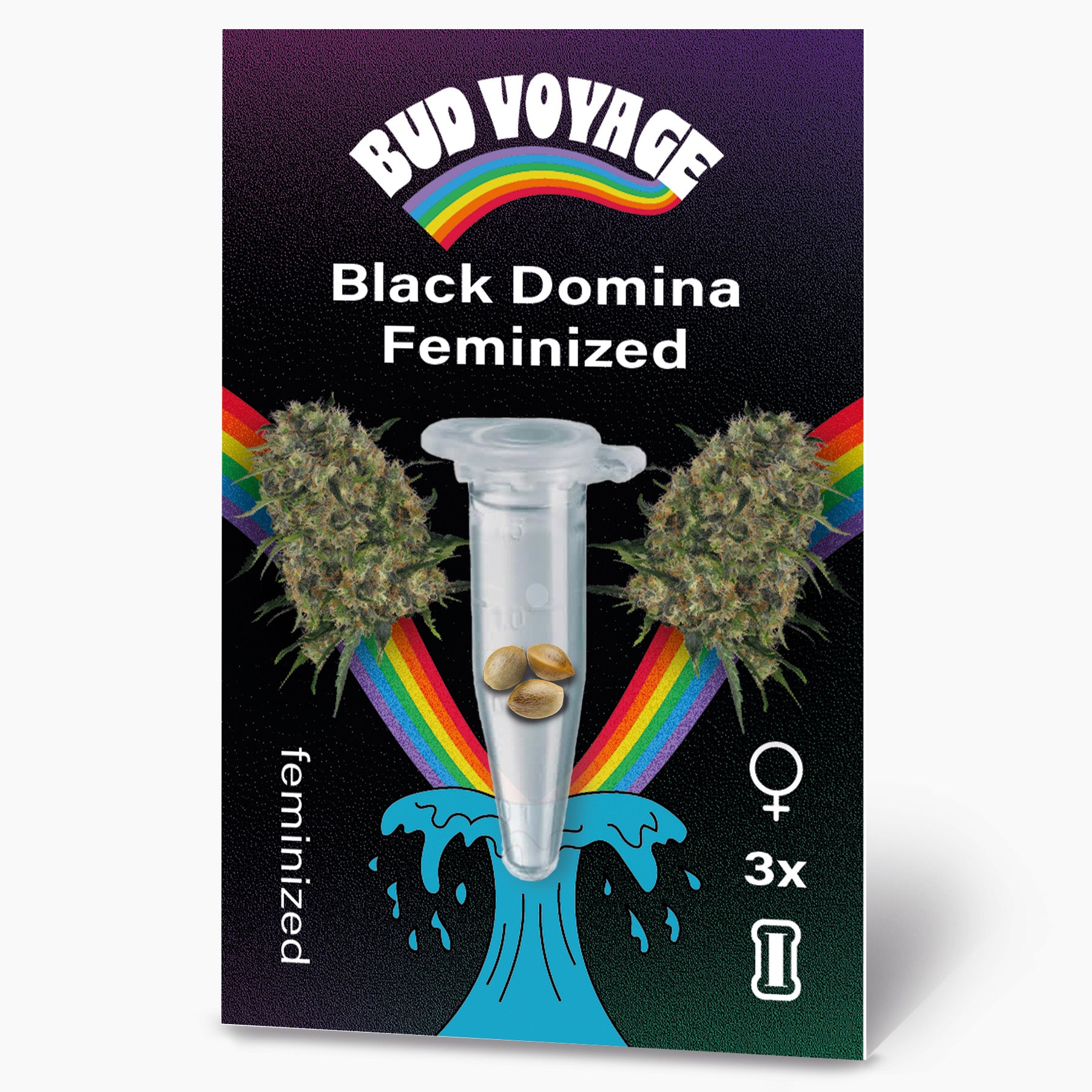 Bud Voyage: Digitaldruck,  Black Domina feminisierte Hanfsamen in einer Reagenzglas mit Regenbogen und türkisfarbener Welle dargestellt drei Samen sind sichtbar