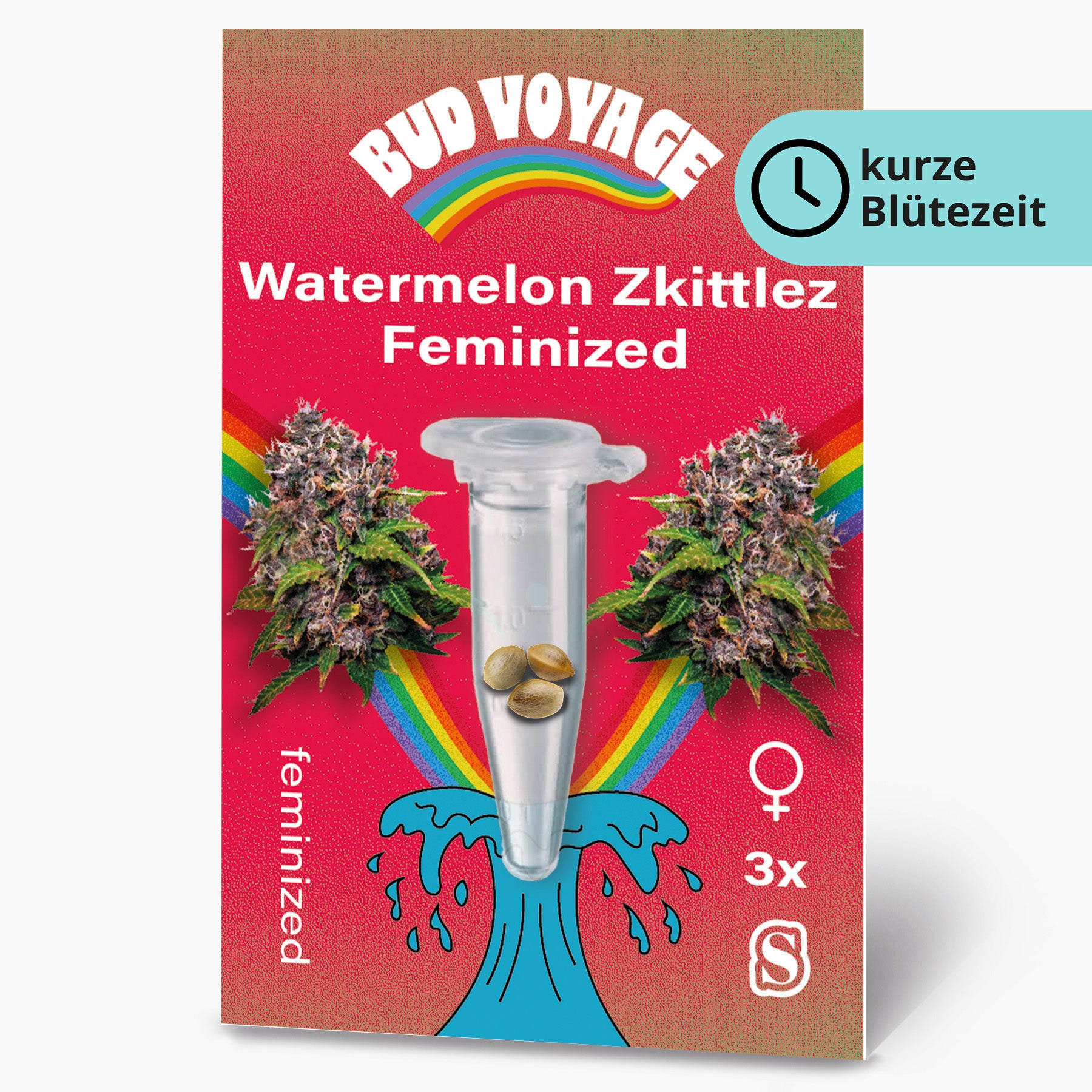 Bud Voyage graphic design featuring Watermelon Zkittlez feminized cannabis seeds in a test tube against a vibrant red background with a rainbow and stylized wave three seeds are visible showcasing their unique coloration the overall design is playful and colorful