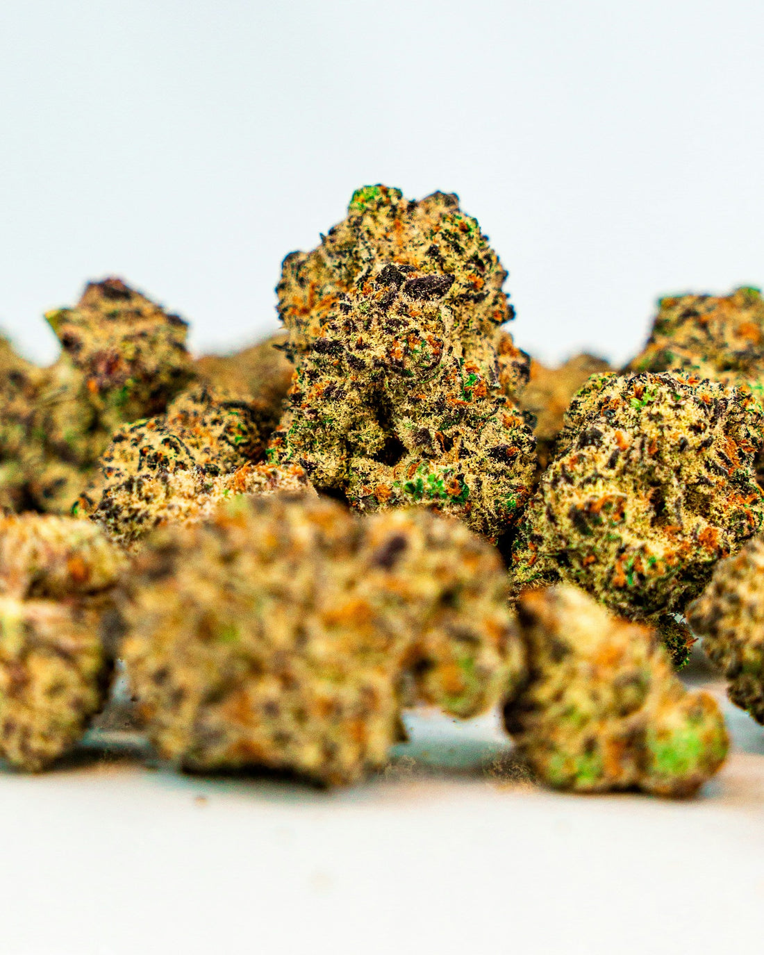 Cannabis, Weed, trocknen, bluten, Anbau, Kush, Menge, Wie
