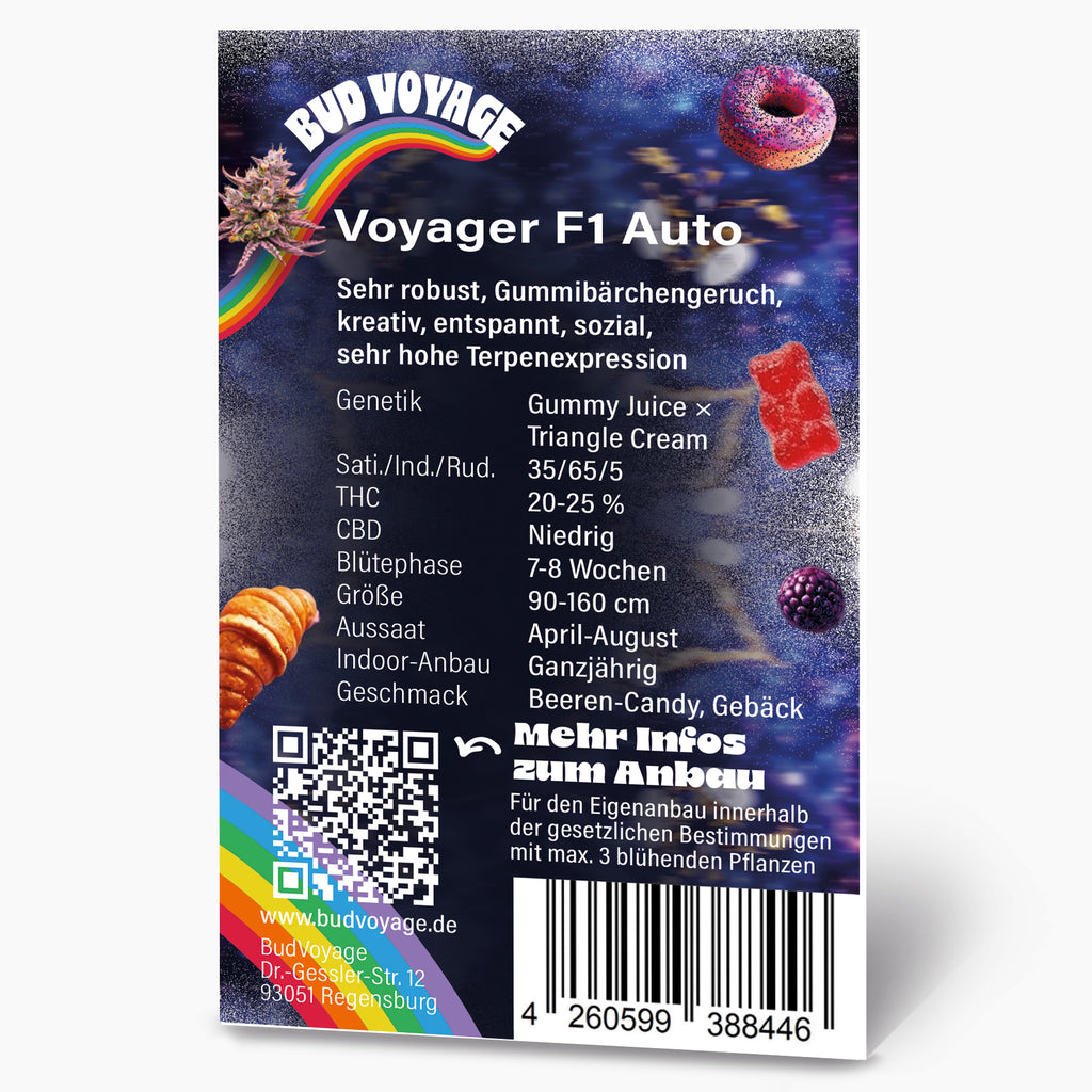 Hanfsamen BudVoyage Voyager F1 Auto (extrem robust, Gummibärchen-Aroma, ertragreich)