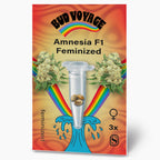 Bud Voyage Amnesia F1 feminisierte Hanfsamenverpackung mit drei Samen in einer Reagenzglas, umgeben von Marihuana Blüten und einem Regenbogen auf orangefarbenem Hintergrund

