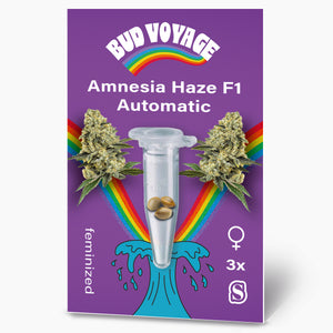 Amnesia Haze F1 Auto