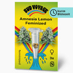 Bud Voyage Grafikdesign: Amnesia Lemon feminisierte Samen, drei Samen in einer Testtube, umgeben von Cannabisblüten und einem Regenbogen auf gelbem Hintergrund,  zeigt lebendige Farben und detaillierte Cannabisblüten
