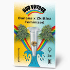 Bud Voyage Saatgutpackung zeigt feminisierte Banana x Zkittlez Cannabis-Samen in einer Testtube vor einem Regenbogen und Wellenmuster mit drei Samen und grünen Blütenständen
