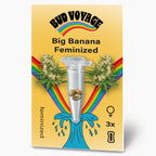 Bud Voyage Grafikdesign: Big Banana feminisierte Hanfsamen in einer Testtube vor einem Regenbogen und maritimen Wellen mit drei Samen und blühenden Cannabispflanzen
