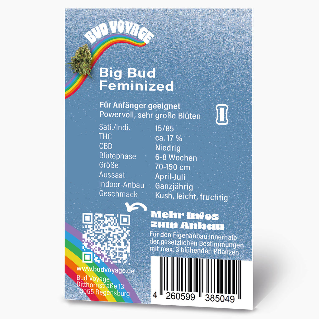 Bud Voyage Produktgrafik zeigt feminisierte Big Bud Cannabisblüten vor einem Regenbogen auf blauem Hintergrund mit QR-Code und Barcode  Fruchtiger Kush Geschmack,  70-150cm groß, Blütephase 6-8 Wochen
