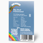 Bud Voyage Produktgrafik zeigt feminisierte Big Bud Cannabisblüten vor einem Regenbogen auf blauem Hintergrund mit QR-Code und Barcode  Fruchtiger Kush Geschmack,  70-150cm groß, Blütephase 6-8 Wochen
