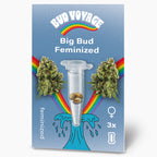 Bud Voyage Grafikdesign: Big Bud feminisierte Hanfsamen in einer Reagenzglas vor Regenbogen und türkisfarbener Welle mit drei Samen drei weiblichen Pflanzen und einem stilisierten  Paket dargestellt