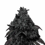 Unbekanntes Medium, unbekannter Künstler: Nahaufnahme einer dunklen, fast schwarzen Cannabispflanze mit violetten Untertönen, die wie eine raue, vulkanartige Formation aussieht, mit einer komplexen Textur und zahlreichen kleinen, haarartigen Details
