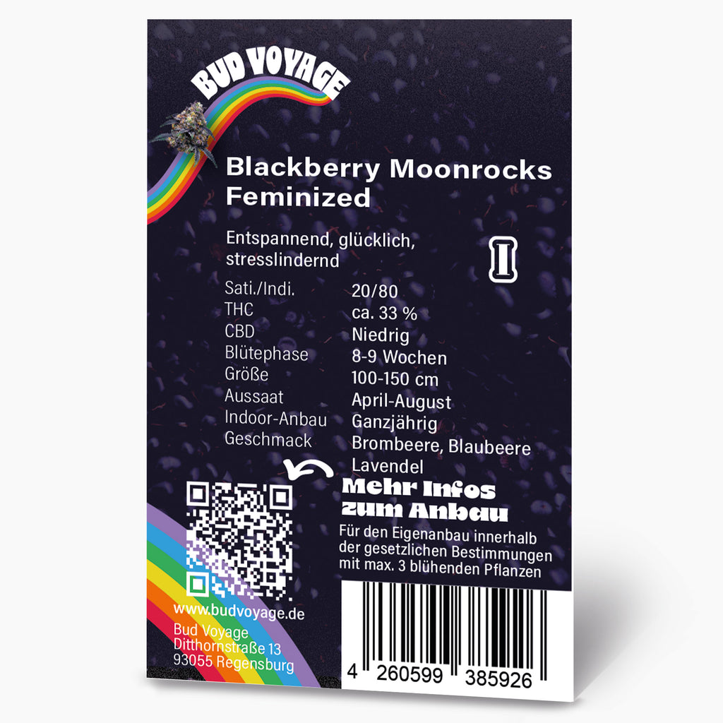 Bud Voyage Produktbild: feminisierte Blackberry Moonrocks Cannabisblüten vor Regenbogenhintergrund mit Brombeer-, Blaubeer- und Lavendelnoten
