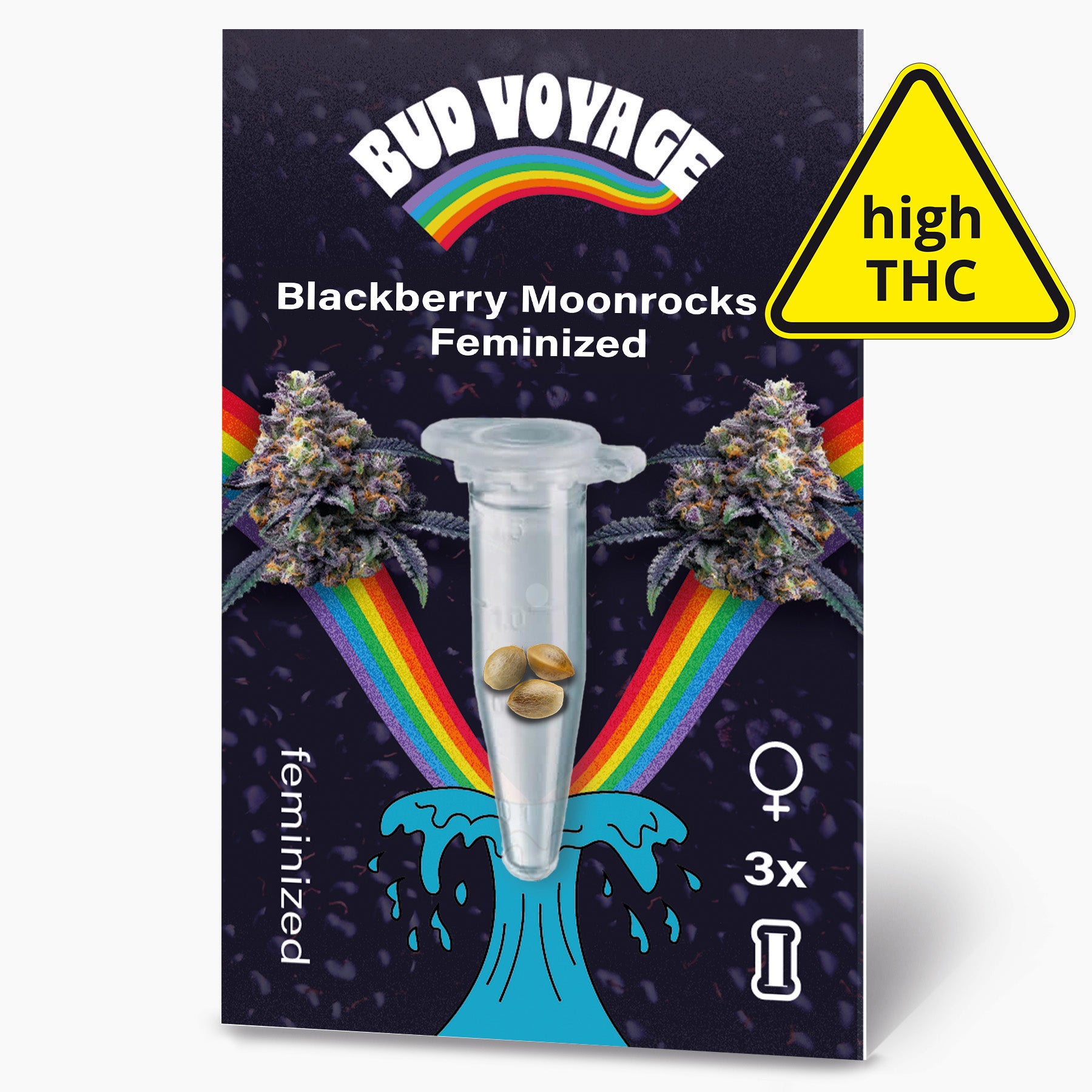 Bud Voyage Produktgrafik zeigt feminisierte Blackberry Moonrocks Samen in einer Mikrotesttube vor einem Regenbogen und blauen Wellen mit lila Blüten und drei Samen in lebendigen Farben
