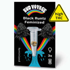 Bud Voyage Grafikdesign, feminisierte Black Runtz Hanfsamen in einer Testtube vor einem Regenbogen und zwei dunklen Blütenständen, drei Samen sind sichtbar, hohe THC-Warnung