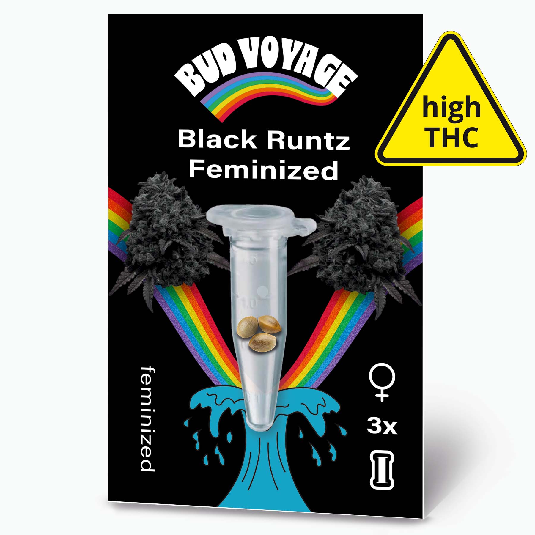 Bud Voyage Grafikdesign, feminisierte Black Runtz Hanfsamen in einer Testtube vor einem Regenbogen und zwei dunklen Blütenständen, drei Samen sind sichtbar, hohe THC-Warnung