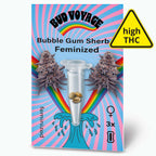 Bud Voyage Samensammlung:  Bild zeigt feminisierte Bubble Gum Sherb Cannabisblüten mit lilafarbenen Akzenten, drei Samen in einer Testtube und einen Regenbogen auf hellblauem Hintergrund