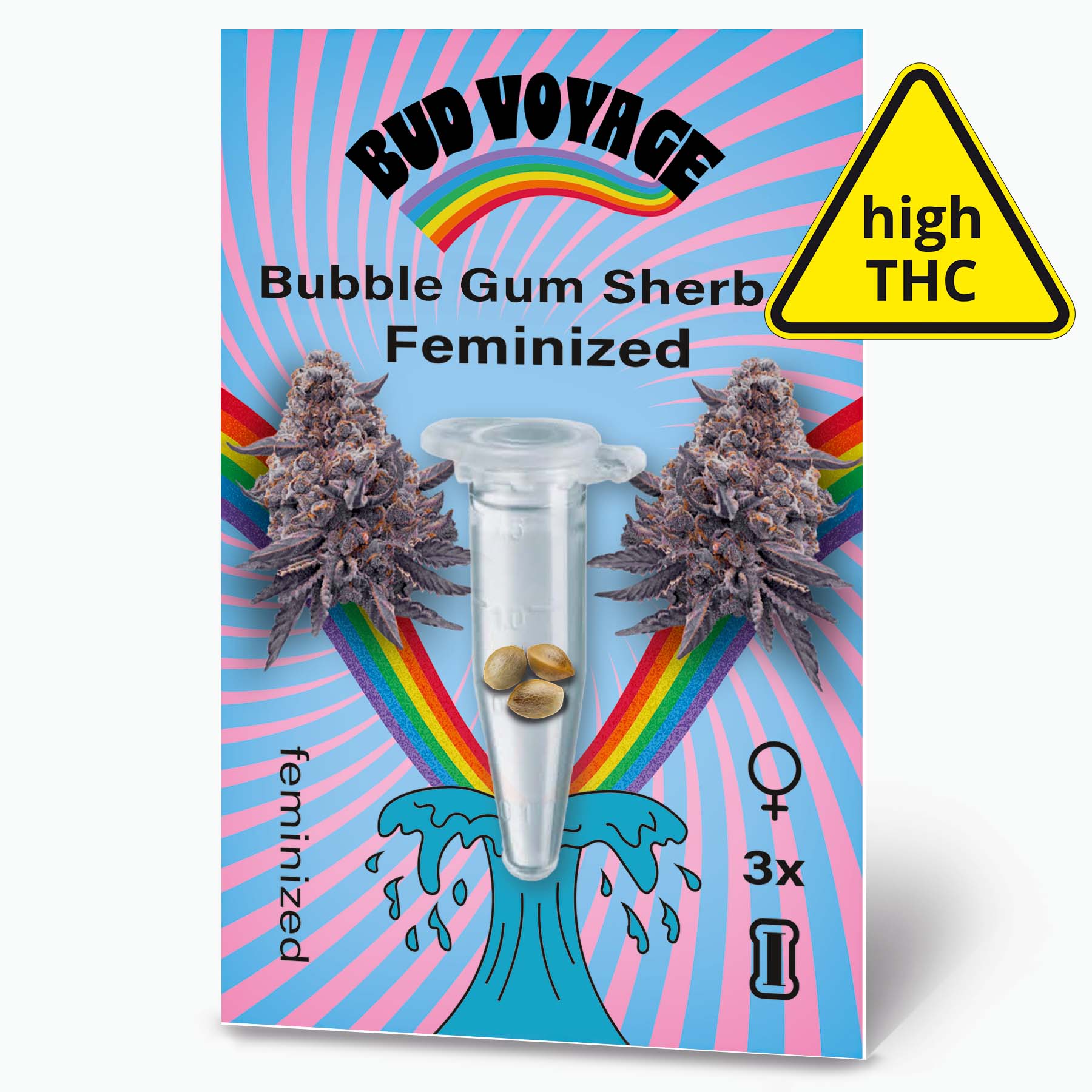 Bud Voyage Samensammlung:  Bild zeigt feminisierte Bubble Gum Sherb Cannabisblüten mit lilafarbenen Akzenten, drei Samen in einer Testtube und einen Regenbogen auf hellblauem Hintergrund