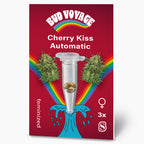 Bud Voyage Grafikdesign:  Cherry Kiss Automatic Hanfsamen in einer Reagenzglas auf rotem Hintergrund mit Regenbogen und blauen Wellen drei feminisierte Samen in lebendigen Farben und detailreichen Cannabisblüten
