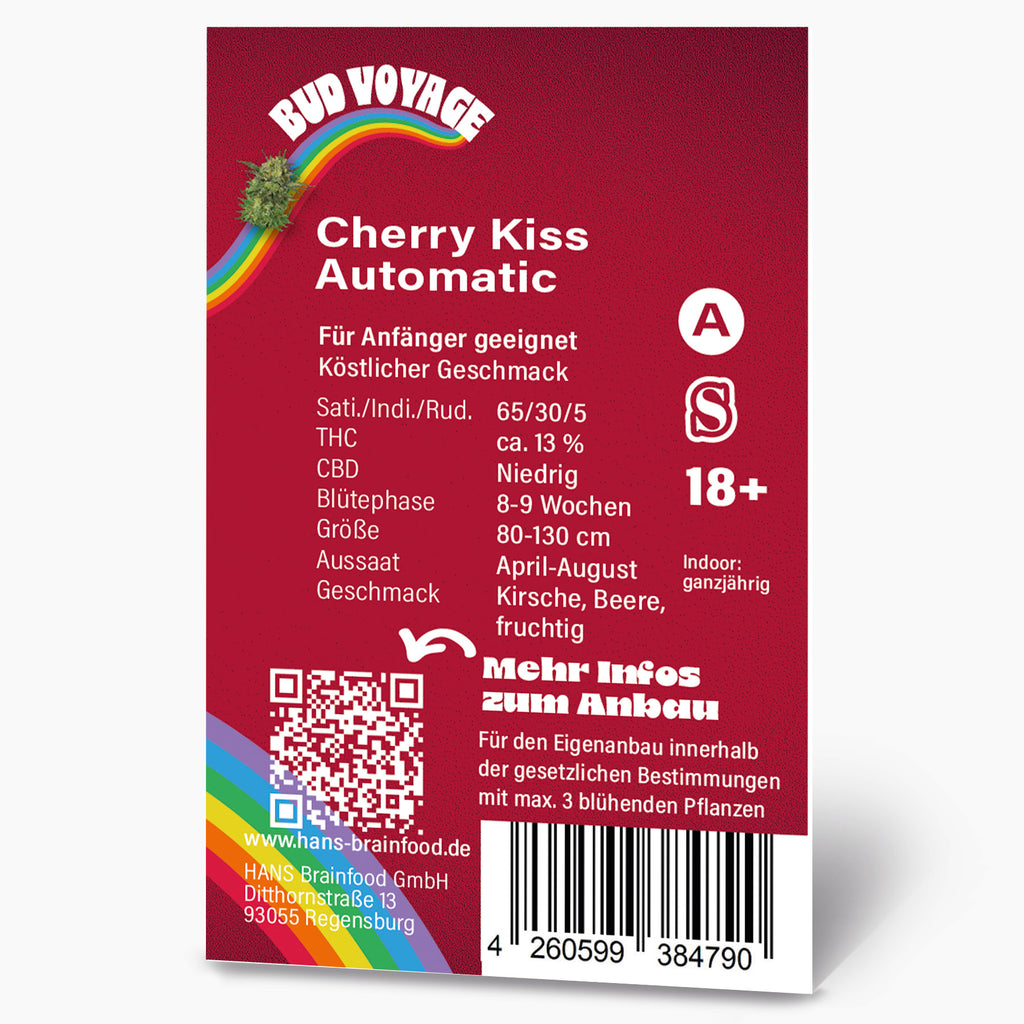 Bud Voyage Grafikdesign:  Cherry Kiss Automatic Cannabis-Samenpackung zeigt eine Marihuana-Knospe auf einem Regenbogen,  mit detaillierter Produktbeschreibung und Barcode auf rotem Hintergrund.
