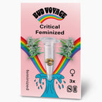 Bud Voyage graphic design featuring Critical Feminized cannabis seeds in a test tube surrounded by rainbows and a stylized wave three seeds are visible light pink background
