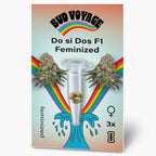 Bud Voyage Grafikdesign zeigt Do si Dos F1 feminisierte Cannabis Samen in einer Reagenzglas vor einem Regenbogen und einer blauen Welle mit drei Samen, die grün, braun und beige sind