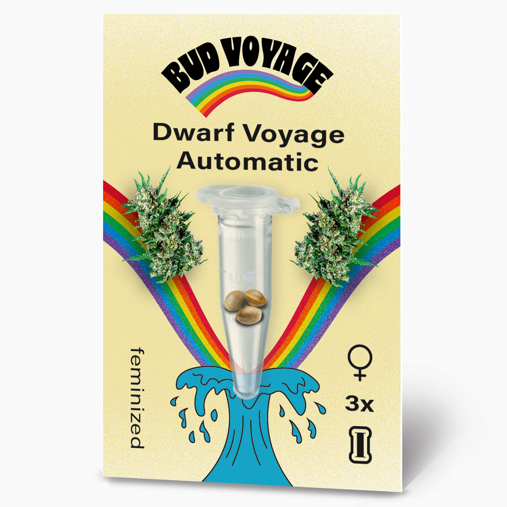 Bud Voyage seed packet artwork showing Dwarf Voyage Automatic feminized cannabis seeds in a test tube surrounded by vibrant rainbows and a stylized wave featuring three light brown seeds a pastel yellow background and bold black lettering
