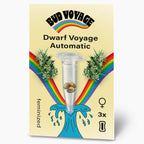 Bud Voyage seed packet artwork showing Dwarf Voyage Automatic feminized cannabis seeds in a test tube surrounded by vibrant rainbows and a stylized wave featuring three light brown seeds a pastel yellow background and bold black lettering
