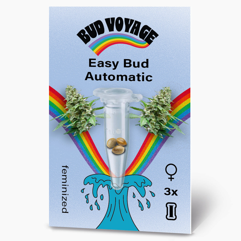 Bud Voyage Easy Bud Automatic Samenpackung zeigt Marihuana-Knospen, einen Regenbogen und drei feminisierte Samen in einer Testtube auf hellblauem Hintergrund.