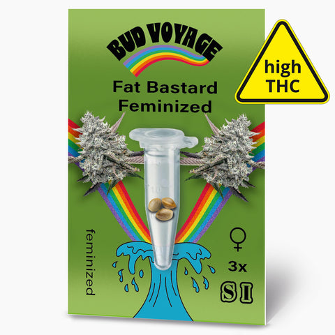 Bud Voyage Saatgutpackung zeigt feminisierte Fat Bastard Hanfsamen in einer Reagenzglas mit Regenbogen und türkisfarbenen Wellen drei Samen hoher THC-Gehalt