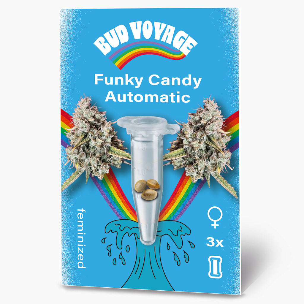 Funky Candy Auto Hanfsamen von BudVoyage