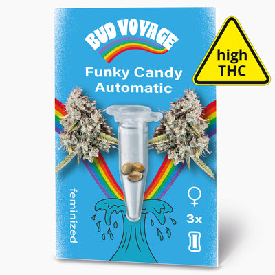 Funky Candy Auto Hanfsamen von BudVoyage