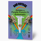 Digital illustration von Bud Voyage: Gelato x Purple Punch F1 Automatic Samen mit Regenbogen, marihuanablüten und drei samen in einer durchsichtigen tube auf grünem hintergrund