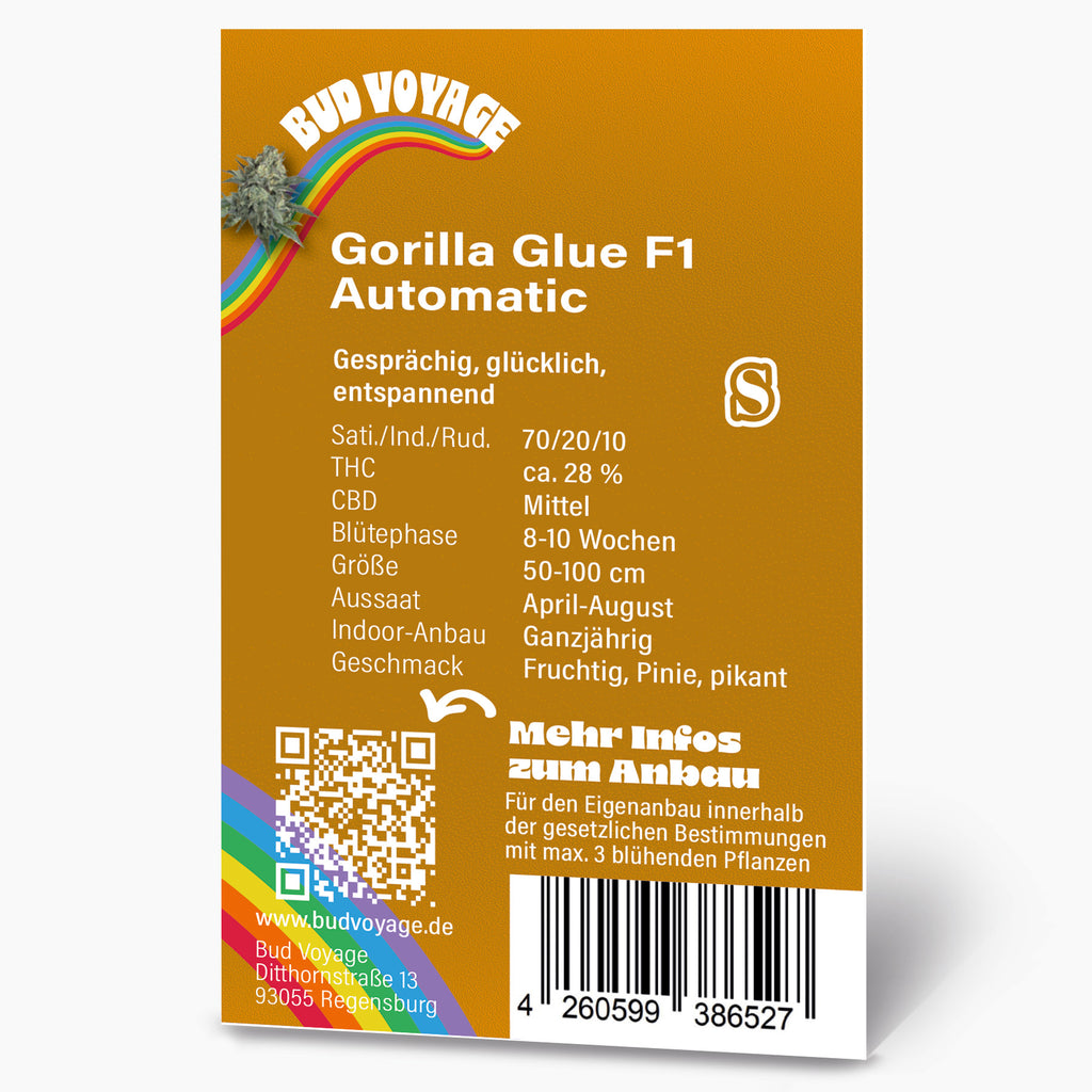 Bud Voyage Produktgrafik: Gorilla Glue F1 Automatic Hanfsaatgut mit Regenbogen, QR-Code und fruchtigem, pinien- und pikantem Geschmack.
