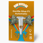 Bud Voyage Grafikdesign: Gorilla Glue F1 Automatic Samen, drei feminisierte Samen in einer Mikroröhre vor dem Hintergrund eines Regenbogens und einer blauen Welle abgebildet, mit detaillierten Cannabisblüten und einem goldenen Hintergrund