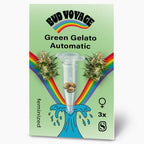 Bud Voyage Samenpackung: Illustration von Green Gelato Automatic Hanfsamen in einer Testtube, umgeben von Regenbogen und maritimen Elementen, zeigt drei feminisierte Samen in hellbrauner Farbe und leuchtend türkisfarbenes Wasser
