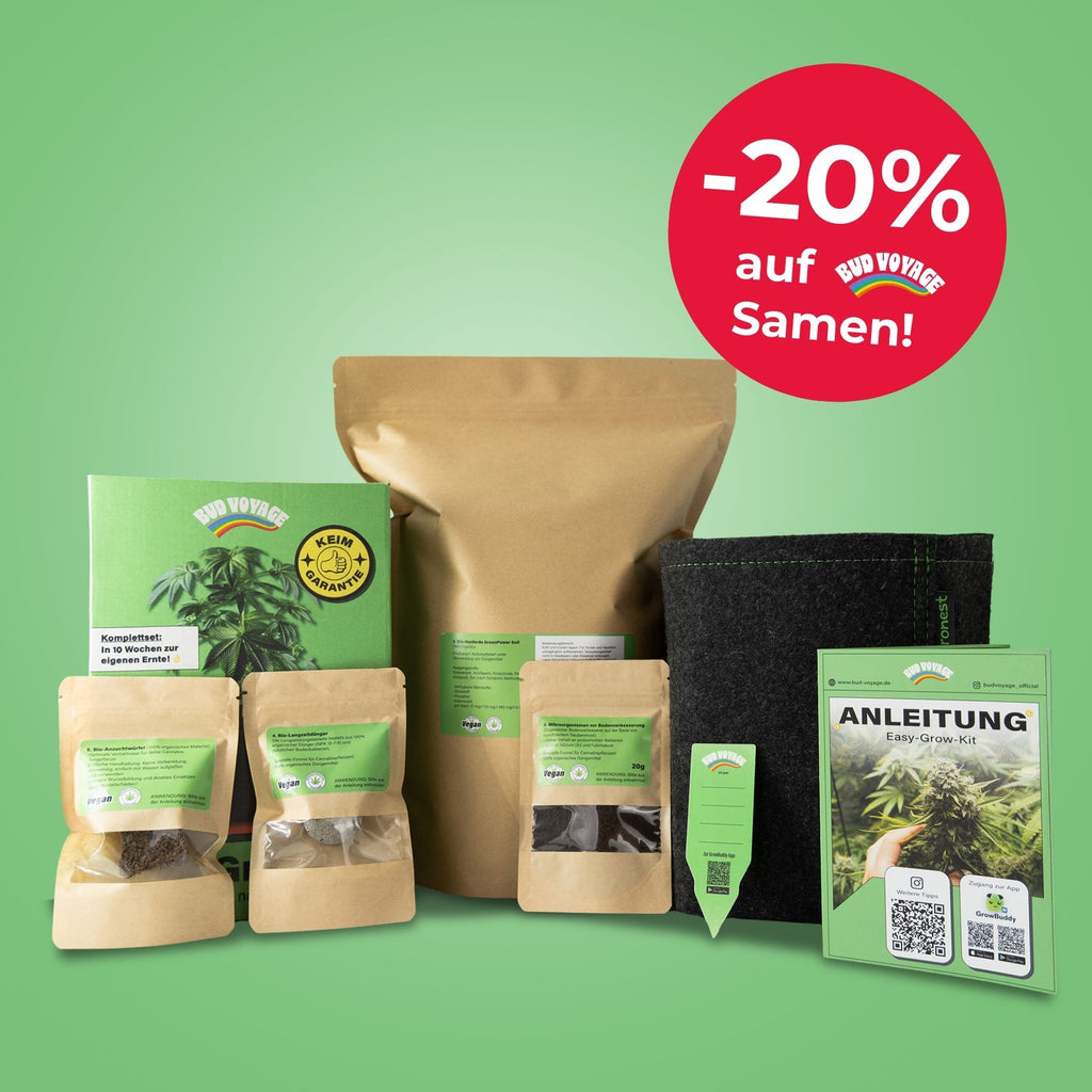 Easy-Growkit von BudVoyage - Komplettes Growset für deine Ernte!