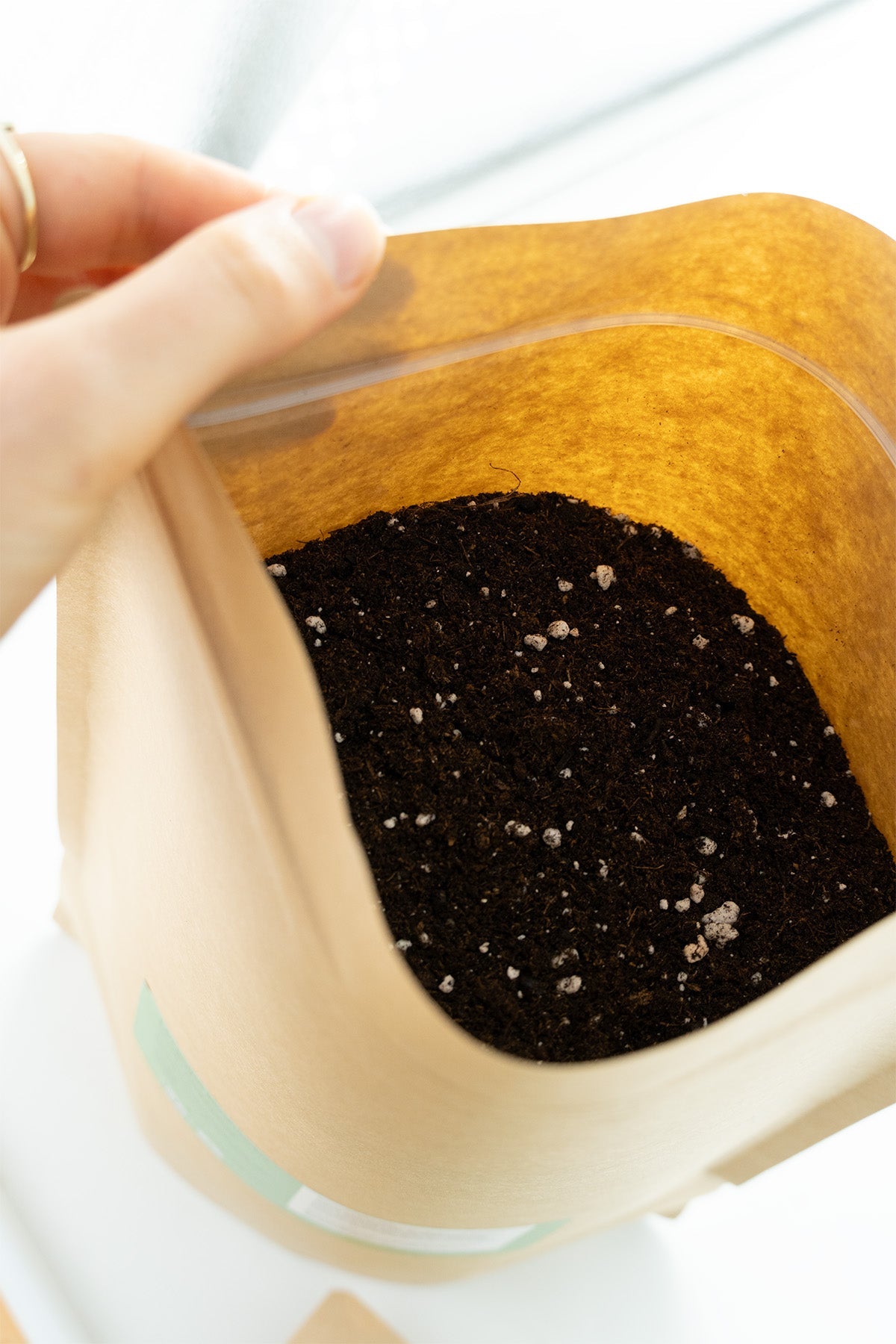 Easy-Growkit von BudVoyage - Komplettes Growset für deine Ernte!