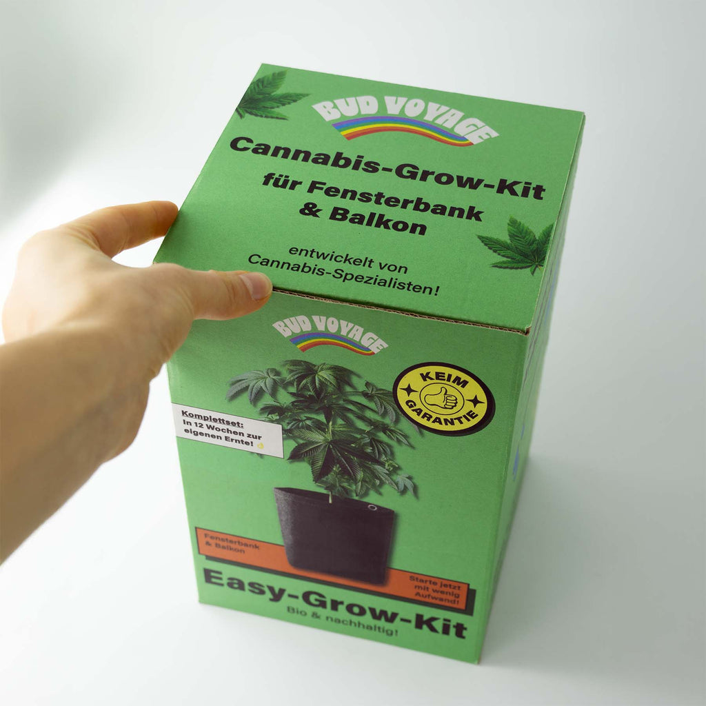 Easy-Growkit von BudVoyage - Komplettes Growset für deine Ernte!